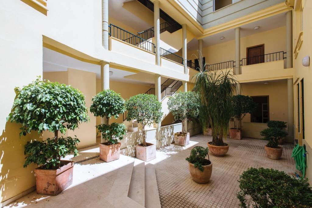 Cozy And Well Located In The Center Of Apartamento *